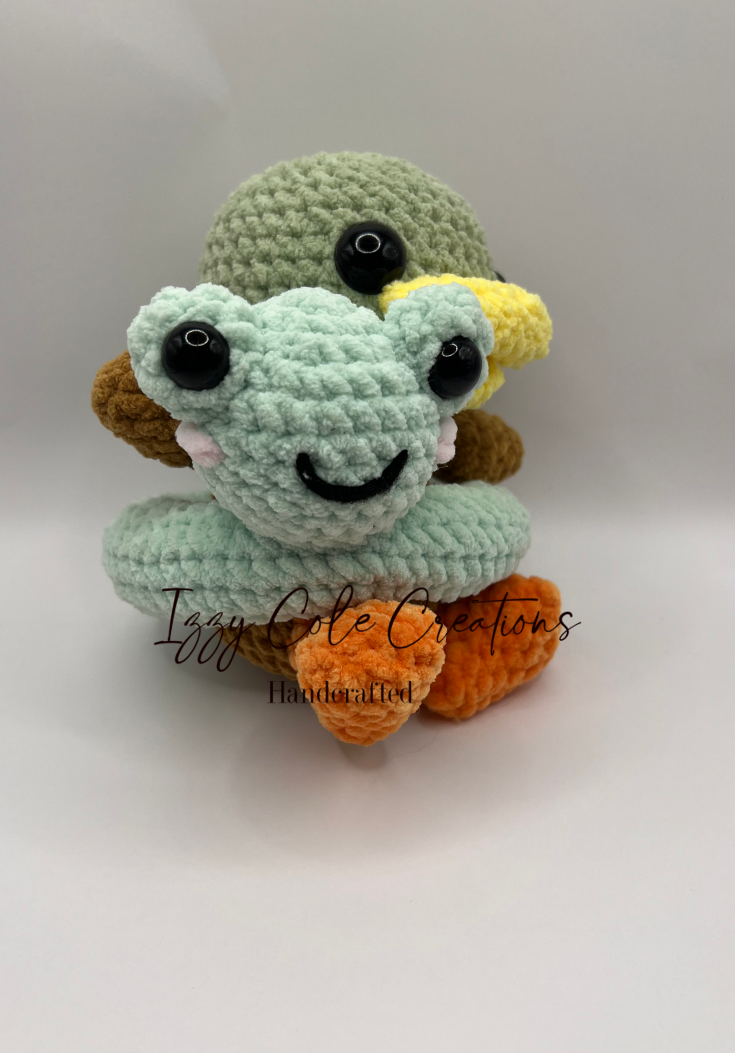 Mallard Duck with a Frog Floaties