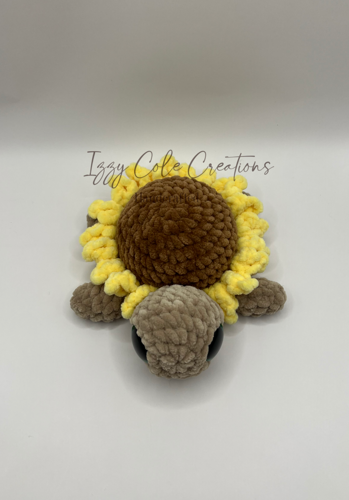 Sunflower Turtle