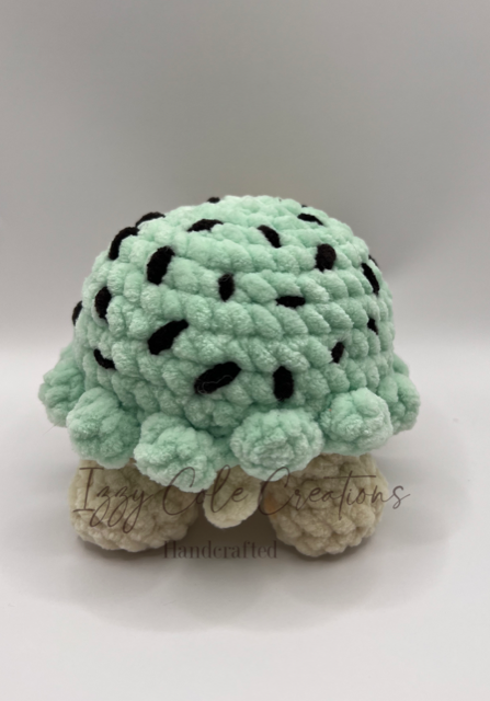 Mint Chocolate Chip Turtle