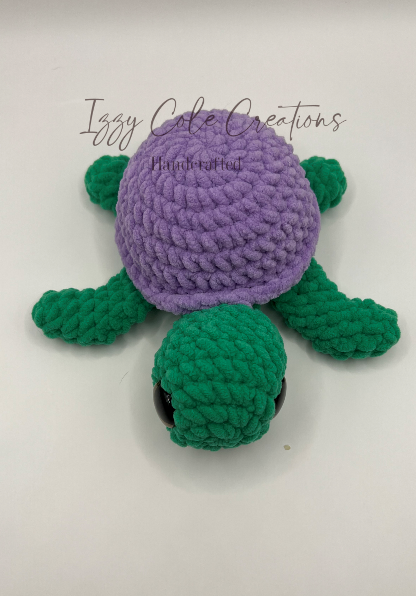 Green and Purple Turtle